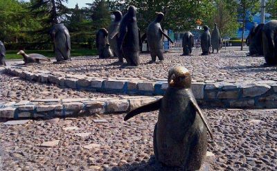 公園景區(qū)玻璃鋼石頭路上的企鵝雕塑